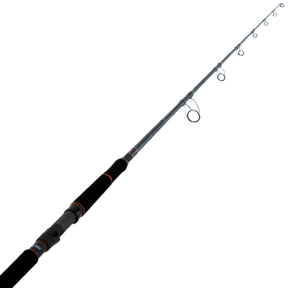 PENN Ocean Assassin 802XXH Spinning Popper Rod 8ft PE10 2pc