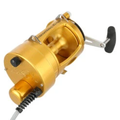PENN Hooker International VI 80 Standard Electric Reel Gold