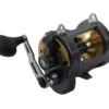 Shimano Tyrnos 30 Overhead Reel